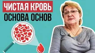 Чистая кровь 🩸 основа основ | Как вывести из крови все ненужное