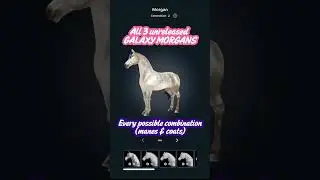 ALL 3 Unreleased Galaxy Morgans & Every Combination [Manes & Coats] - Star Stable Cheats