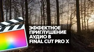 ЭФФЕКТНОЕ ПРИГЛУШЕНИЕ АУДИО В FINAL CUT PRO X (BACKSTAGE/UNDERWATER AUDIO EFFECT IN FCPX)