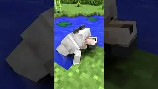 Minecraft animation