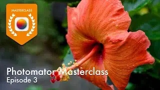 Photomator Masterclass - Part 3 - White Balance and Basic Adjustments