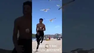 ДОСТАЛИ!!! :-)