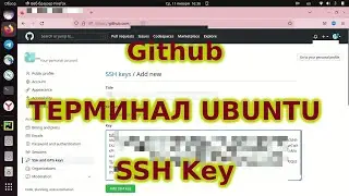 Загрузка в приватный репозиторий Github через терминал, ssh доступ ubuntu ASMR