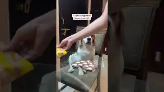 Homemade super easy ice cream (dog friendly)| magic ingredient treats from 