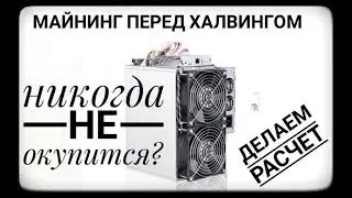 Стоит ли покупать асик и начинать майнить BTC осенью - зимой 2019