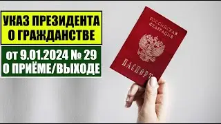 Указ Президента В.В. Путина № 29 от 9.01.2024 О ПРИЁМЕ в ГРАЖДАНСТВО РФ. МВД. Миграционный юрист