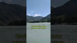 Как за год в сетевом построить доходный бизнеc?