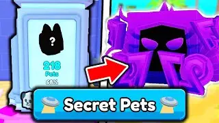 I HUNT For SECRET ADMIN PET in Arm Wrestle Simulator..