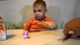 Свит бокс носики-курносики.Sweet box.