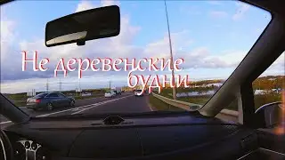 В гости к соседям. Не купила что хотела // Жизнь на хуторе