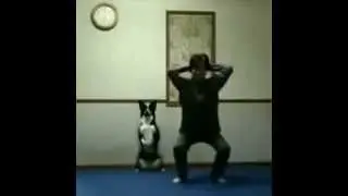 Собака приседает вместе с хозяином