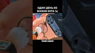 ОДИН ДЕНЬ ИЗ ЖИЗНИ КОТА в VR 🐈 #shorts #vr #хочуврек #кот #кошки