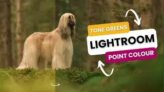 How to use Point Colour in Lightroom Classic to Tone Your Greens | 2023/4 Update