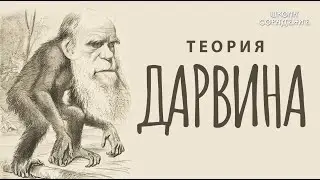 "Непотопляемая" теория Дарвина #теорияДарвина #Гарат #школаСорадение