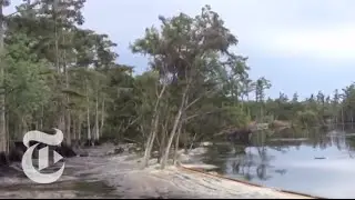 Sinkhole in Louisiana Swallows Trees - Caught on Tape 2013 | The New York Times