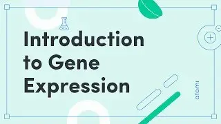 Y11-12 Biology: Introduction to Gene Expression