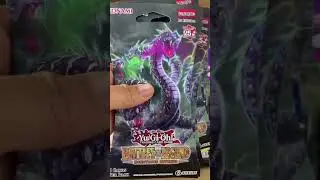 New Yugioh Collection Revealed!