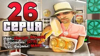 БИТКОИН БЬЁТ РЕКОРДЫ!🚀💰 ПУТЬ ВЛАДЕЛЬЦА ЧАСТНОГО АВТОСАЛОНА в GTA SAMP #26