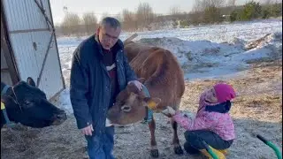 Авантюра провалилась! А поездка удалась!