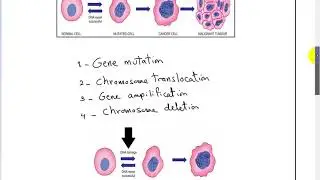 carcinogenesis 1  (ONCOGENE )DR SAMEH GHAZY