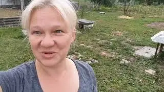 Куда я пропала. Ответ на Ваши вопросы)