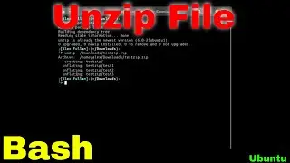 Unzip File via Terminal Bash (Ubuntu Linux)