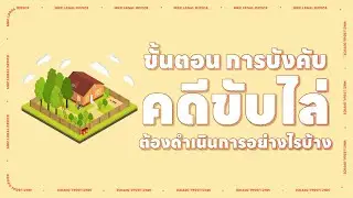 ขั้นตอน การบังคับคดีขับไล่ ต้องดำเนินการอย่างไรบ้าง l MKCLegal