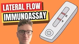 Lateral Flow Immunoassay (LFIA EXPLAINED)