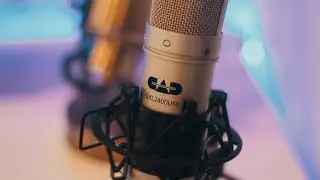 The BEST Budget Microphone UNDER $30?