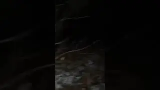 Мистические ОКОПЫ.