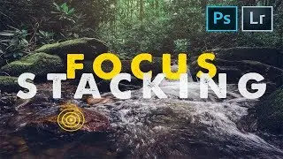 The FASTEST WAY to FOCUS STACK!