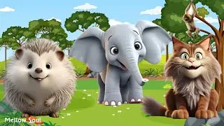 Funniest animal sounds in nature: hedgehog, elephant, lynx, rhino, donkey, chicken, lemur