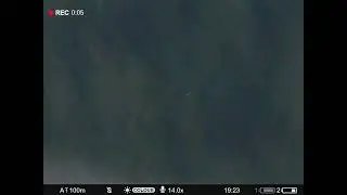 охота на кабана. pulsar digex c50. 200 метров