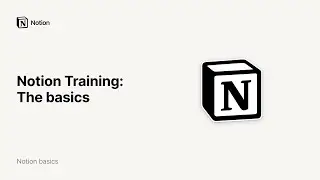 Notion Training: The Basics