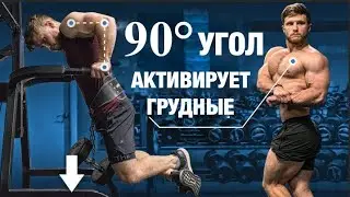 Как правильно ОТЖИМАТЬСЯ НА БРУСЬЯХ? (ДЕЛАЙТЕ ТОЛЬКО ТАК!) | Джефф Ниппард