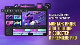 Монтаж видео для YouTube и соцсетей в Adobe Premiere Pro. Дмитрий Ларионов