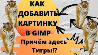 Первый шаг в Gimp +100xp! Как добавить картинку в Gimp!?