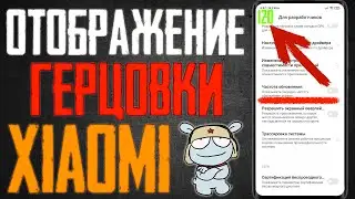 КАК ВКЛЮЧИТЬ ОТОБРАЖЕНИЕ ТЕКУЩЕЙ ЧАСТОТЫ ОБНОВЛЕНИЯ ЭКРАНА В XIAOMI \ ОТОБРАЖЕНИЕ ГЕРЦОВКИ В MIUI 12
