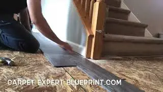 VINYL PLANK FLOORING DRIVES CARPET TO EXTINCTION