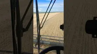 Убрали яровую пшеницу. Урожай 6-8ц 