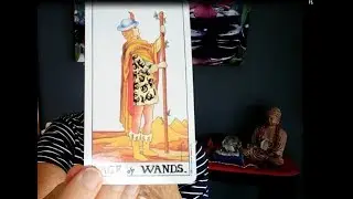 Page of wands -A Passion for Life! - Tarot for Beginners