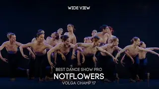 Volga Champ 17 | Best Dance Show Pro | Wide view | Notflowers