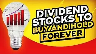 20 Dividend Stocks To Buy And Hold Forever | Cashflow and Dividend Investing