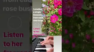 Roses inspire ambient piano improv. Yamaha reface.