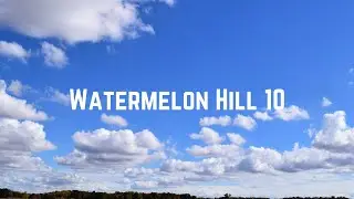 Watermelon Hill - Golden Sunshine & Favorite Pets