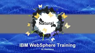 IBM WEBSPHERE Training–IBM WEBSPHERE Online Training(WEBSPHERE Certification Tips)WEBSPHERE Course