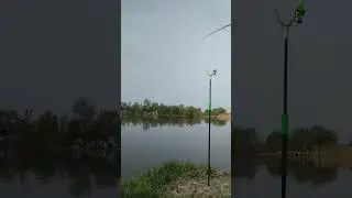 Обманул карась