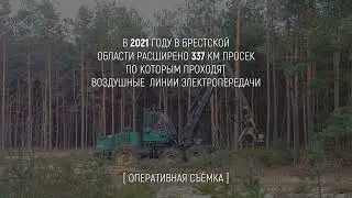 Как расширяют просеки по которым проходят воздушные линии электропередач