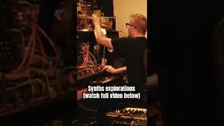 Dive into the World of Synths: Moog One, Matriarch, Mavis, Prophet-10, Buchla, Pro-800, Solina