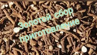 золотой сбор одуванчик, пырей, лопух